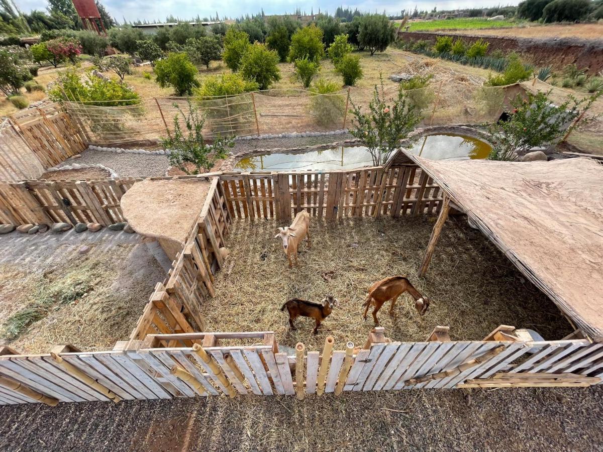 Отель Jnan Lotf Marrakech El Harkat Экстерьер фото