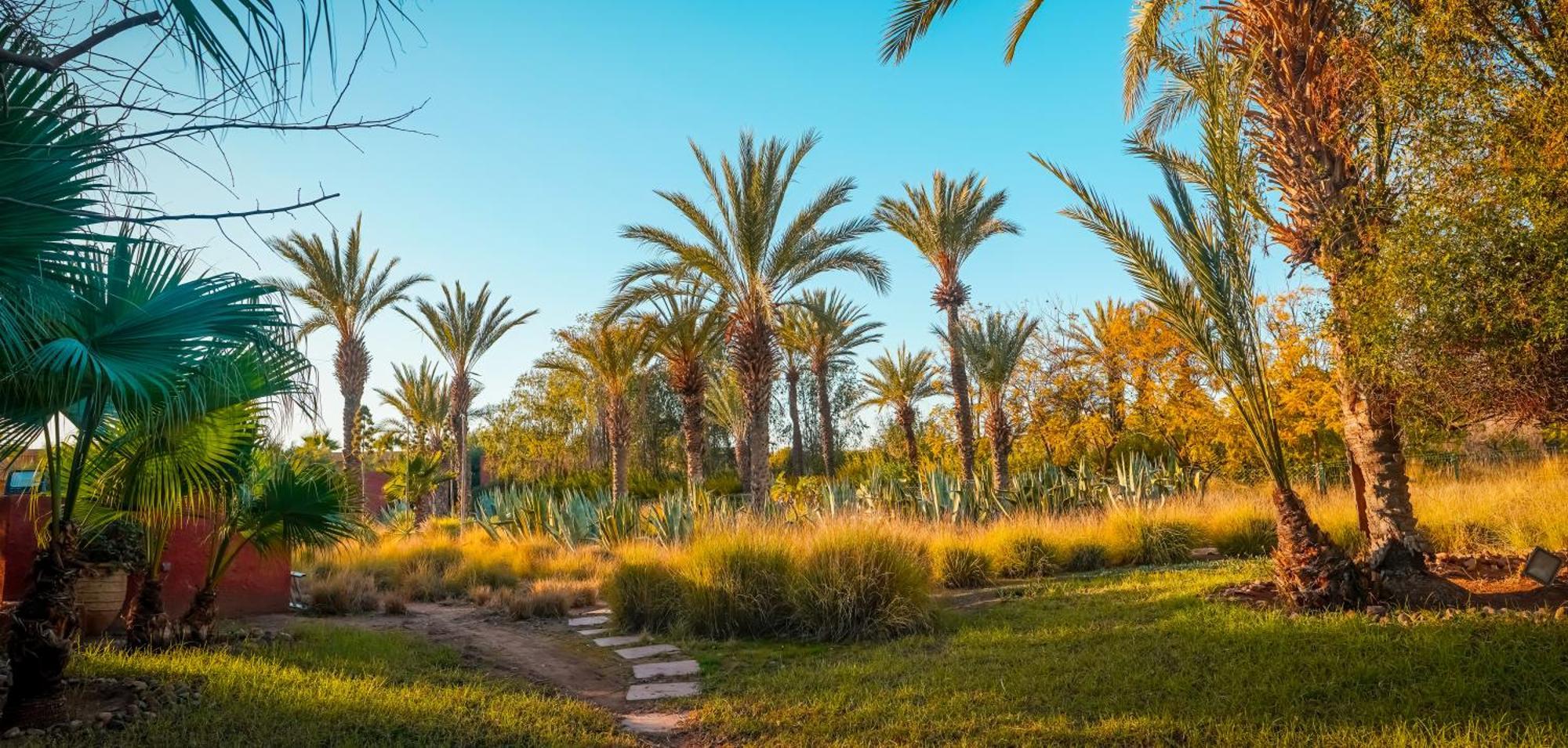 Отель Jnan Lotf Marrakech El Harkat Экстерьер фото